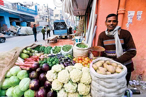 Commonly consumed vegetables, including potato, brinjal and tomato, now have less micronutrients and more fat (Photo:ISTOCK PHOTO)