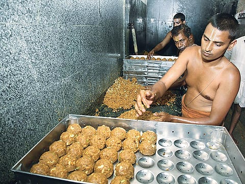 Several people in the past have complained about unhygienic practices followed during the preparation of prasad at Tirupati temple in Andhra Pradesh (Photo: Jaya Sekhar/ Tirumala Tirupati Devasthanams)