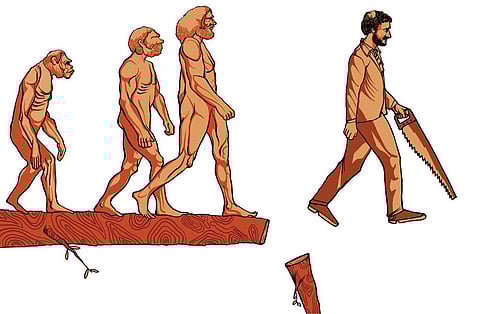 सोरित/सीएसई