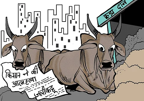 सोरित/सीएसई