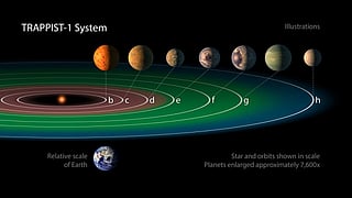 The seven planets could have some liquid water and maybe life on the surface. Credit: NASA