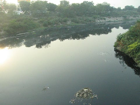 The NGT has now directed Delhi government to take "appropriate steps in accordance with law" for revival of the lake. Credit: Varun Shiv Kapur / Flicker