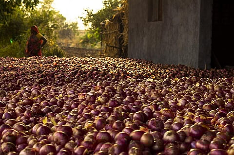 Last year, farmers were forced to sell out their onion for even less than Rs 1 per kg Credit: Vaibhav Gupta / Flicker