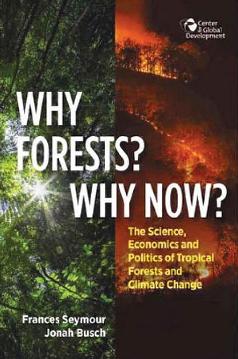WHY FORESTS? WHY NOW?
THE SCIENCE, ECONOMICS AND POLITICS OF TROPICAL FORESTS AND CLIMATE CHANGE
Frances Seymour and Jonah Busch
Center for Global Development |
429 pages | $24.95