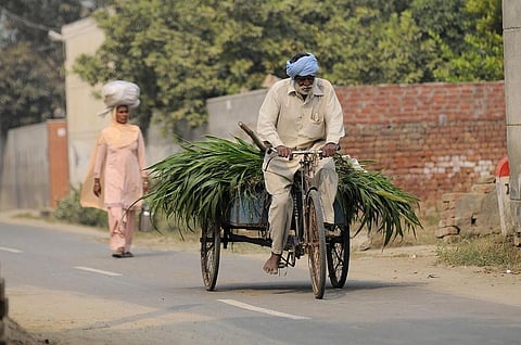 Inability to exploit irrigation facilities and boost yields entagle farmers in a vicious debt cycle. Credit: CIAT / Flicker