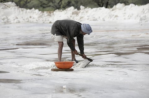 मुंबई में नमक के मैदानों से अतिक्रमण और निर्माण सम्बन्धी कचरे को हटाने के लिए उठाए गए हैं कदम: रिपोर्ट