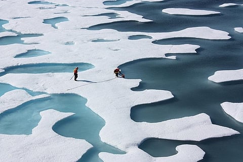 This winter, a combination of warmer-than-average temperatures, winds unfavorable to ice expansion and a series of storms halted sea ice growth in the Arctic
Credit: NASA Goddard Space Flight Center/Flickr
