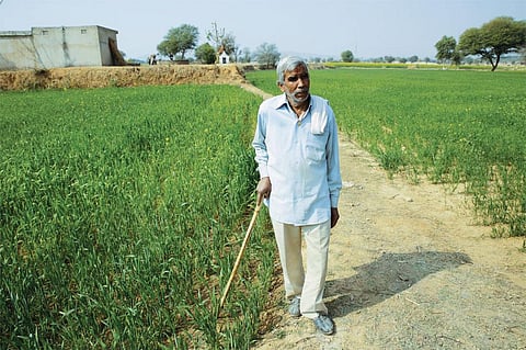 Raghuvir Singh of Sikar says that
for the first time in two years he
has earned a profit of over R1 lakh
through farming (Photos: Vikas Choudhary)