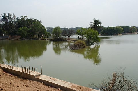 Small farmers in Karnataka are diligently implementing measures to avoid misusing water. Credit: Morgan Davis / Flicker