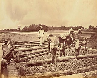 Under the British rule, farmers in Champaran were made to cultivate indigo on 3/20th of their land and the crop was bought at throwaway prices for textile mills in Britain (Photo: Oscar Mallitte)