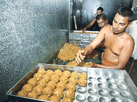 आंध्र प्रदेश के तिरुपति मंदिर में प्रसाद बनाने के दौरान स्वच्छता की अनदेखी को लेकर कई लोग पहले भी शिशिकायत कर चुके हैं  (जय शेखर / तिरुमाला तिरुपति देवस्थानम)