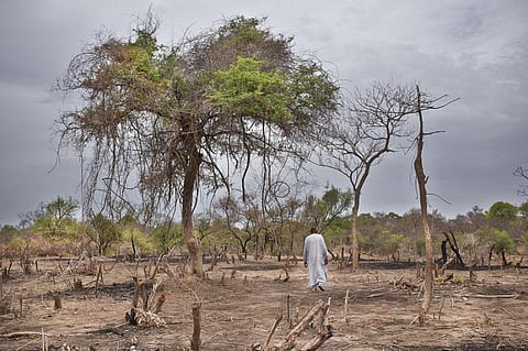 When communities feel alienated, they are less motivated to join conservation effort. (Credit: CIF Action/Flickr)