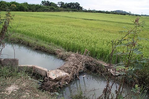 Besides industries, agriculture is a major water guzzler
Credit: Department of Foreign Affairs and Trade/Flickr