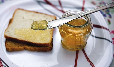 जमरूल जैम (विकास चौधरी / सीएसई)