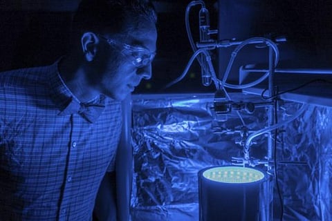 The photoreactor converts carbon dioxide to organic materials in the presence of blue light (Credit: University of Central Florida)