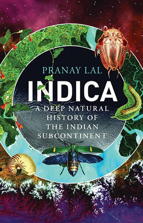 INDICA: A DEEP NATURAL HISTORY OF THE INDIAN SUBCONTINENT
Pranay Lal | Penguin Random House
468 pages | Rs 611.19