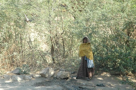 The lack of legal protection for women’s land rights undermines the efforts to empower indigenous peoples and local communities, conservation efforts and reduce poverty. Samrat Mukharjee/CSE