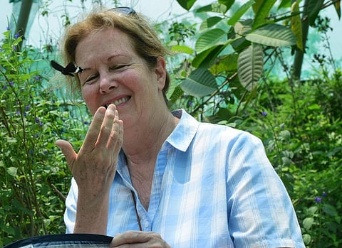 ‘A zoo must strive to meet animals’ physical and psychological needs’