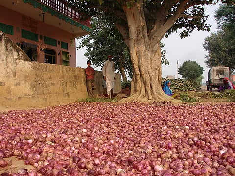 Average price of onion dropped by 21 per cent between July 2016 and April 2017. Credit: Kumar Sambhav Shrivastava / CSE