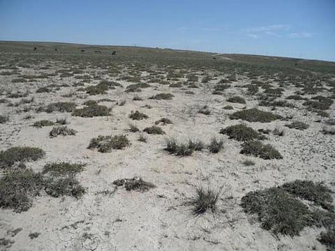 (Credit: Derik van Zuetphen/Flickr)