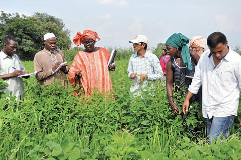 Farmers turned
researchers of
Burkina Faso
learn tips on
sustainable
agricultural
practices from
cotton farmers
of Warangal
in Telangana
during their
visit to India a
few years ago (Photo: Deccan Development Society )