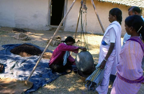 Reduction in MSP will undo the progress made in empowering tribal communities to negotiate for fair prices. Credit: Amit Shanker / CSE