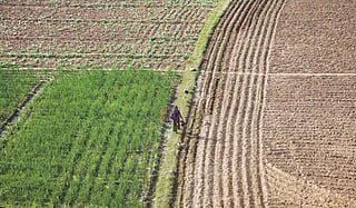 Photo: Vikas Choudhary