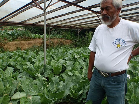 In a scenario where the government should be encouraging more small farmers to take up organic farming, the FSSAI’s regulation is going to put a roadblock for them. Credit: Wikimedia Commons