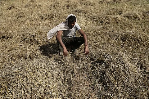 Farmers in vulnerable regions such as Bundelkhand and Marathwada might not get any claim even if more than half of their crops are damaged (Credit: Vikas Choudhary/CSE)