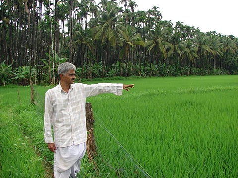 सीएसई की रिपोर्ट: देश में जैविक खादों और जैव- उर्वरकों की हालत खराब