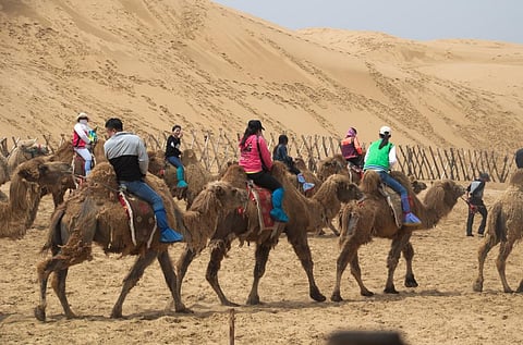 The Kubuqi Model will play an important role in desertification control in countries along the Belt and Road Initiative. Credit: Wikimedia Commons