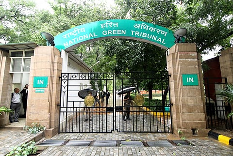 असम में हाईवे के लिए कट रहे पेड़ों के बारे में एनजीटी ने मांगी जानकारी