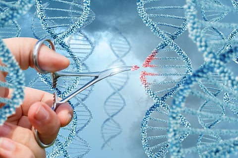 The technology works like molecular scissors to cut and paste DNA (credit: Thinkstock)