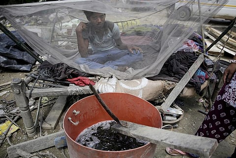 Acriflavine or ACF, used as an anti-parasite drug in the last century, has been found to be effective against malaria parasite. Credit: Vikas Choudhary / CSE