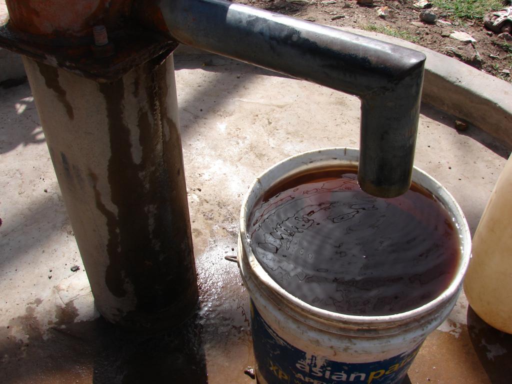 Credit: Ankur Paliwal