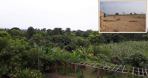 Aanandaa farm, Morni Hills, Haryana in 2017 and 2010 (inset). Credit: Author