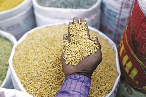 सितंबर में खाद्य कीमतों में रही नरमी: अनाज, चीनी, दूध हुए सस्ते, मांस बना महंगा सौदा