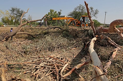 The fund will be used for compensatory afforestation and other such activities (Credit: Vikas Choudhary/CSE)
