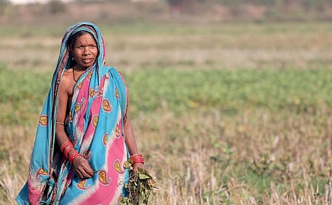 For farmers who use traditional weather forecasting methods, the change in climate is perceptible. Credit: Max Pixel