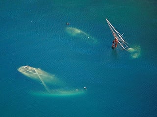 Vessels that sank 
during Hurricane Irma 
in St John, US Virgin Islands on September 16 (Photo: Reuters)