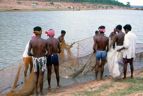 Some 15,000 families depend on Hilsa fish for their livelihood. Credit: Ruhani Kaur / CSE