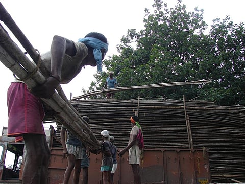 The decision has been made to increase the supply and usage of bamboo (Credit: Kumar Sambhav Shrivastava/CSE)
