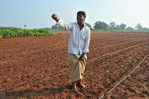 Credit: Meeta Ahlawat