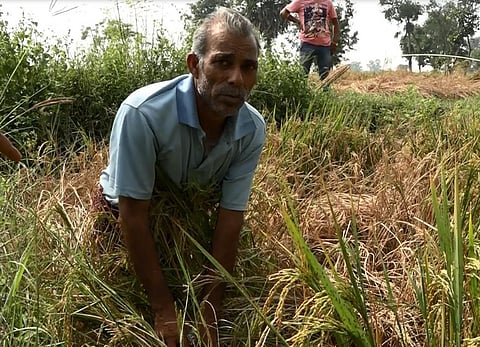 Picture of Bargarh farmer Brunda Sahu who committed suicide on Wednesday. Credit: Umesh Biswal
