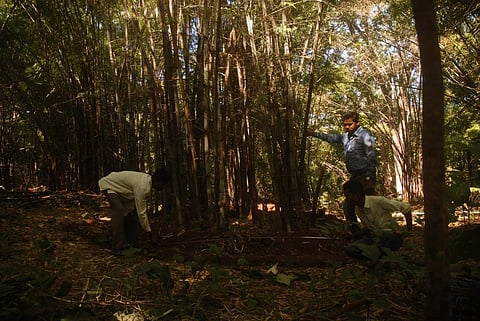 Several villages have been facing the challenge of diversion of their community forests. Credit: Kumar Sambhav Srivastava / CSE