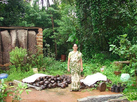 The Food Safety and Standards (Organic Foods) Regulations, 2017 have been operationalised on November 9, 2017. Credit: Jitendra Choubey
