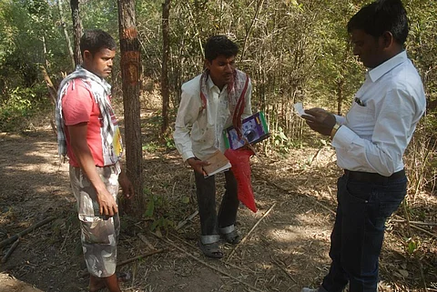 In many areas, plantations were fenced off, blocking access of local communities to the forest. Credit: Kumar Sambhav Shrivastava / Flickr