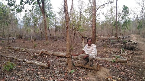 The state has not conducted any survey to ascertain total number of beneficiaries of Forest Rights Act. Credit: Vikas Choudhary / CSE