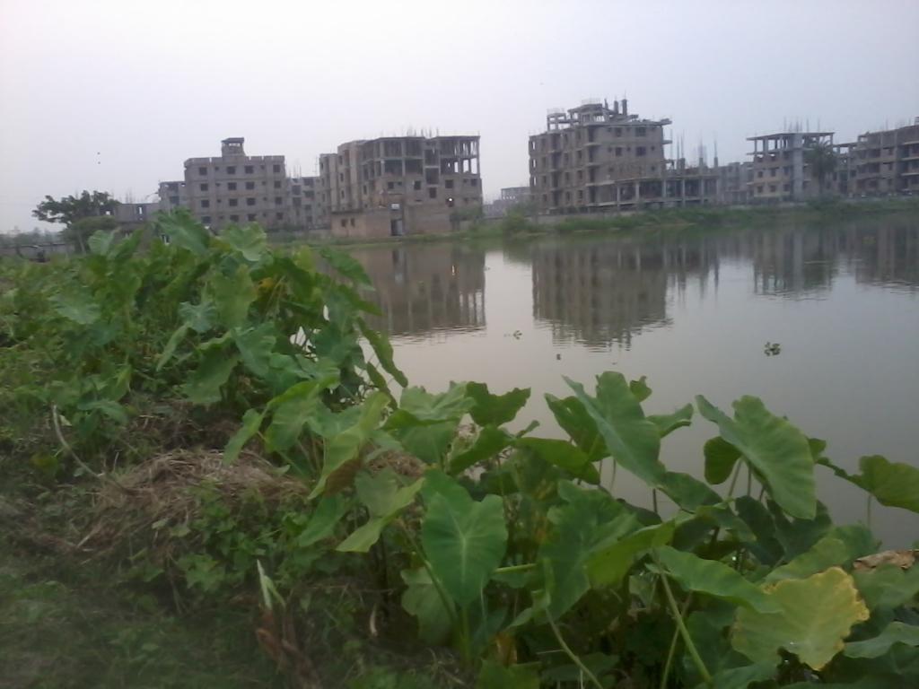the East Kolkata Wetland was listed as a Ramsar site in 2002 (Photo: Pravash Mallick/Creative Commons)