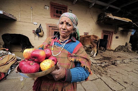 Abnormal climatic factors during winters, flowering and fruit development stage has lowered apple productivity in HP. Credit: NP Himachal Pradesh 90/Flickr